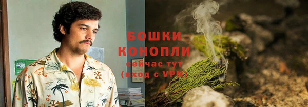 хмурый Михайловск