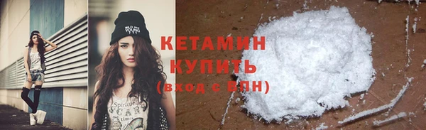 прущие грибы Михайлов