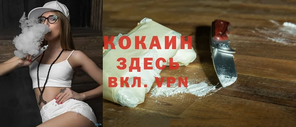 прущие грибы Михайлов