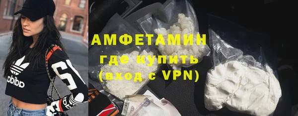прущие грибы Михайлов