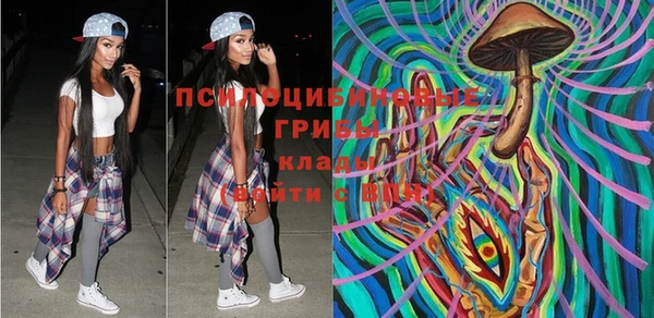 хмурый Михайловск