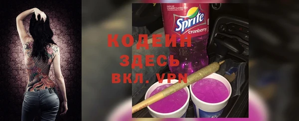 прущие грибы Михайлов