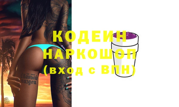 хмурый Михайловск