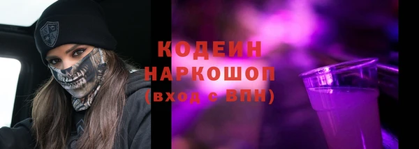 хмурый Михайловск