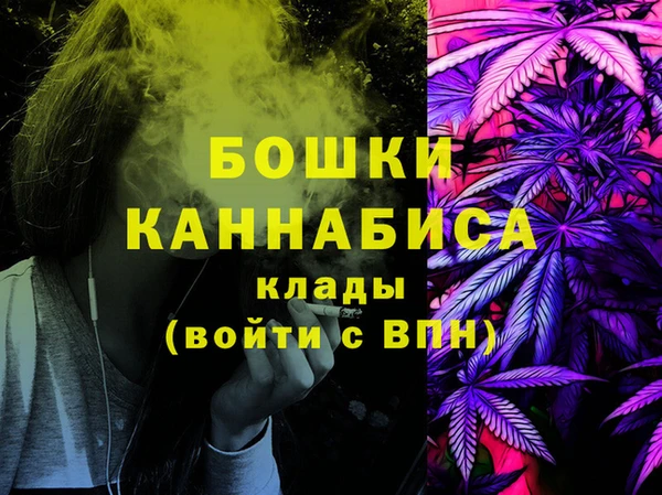 хмурый Михайловск