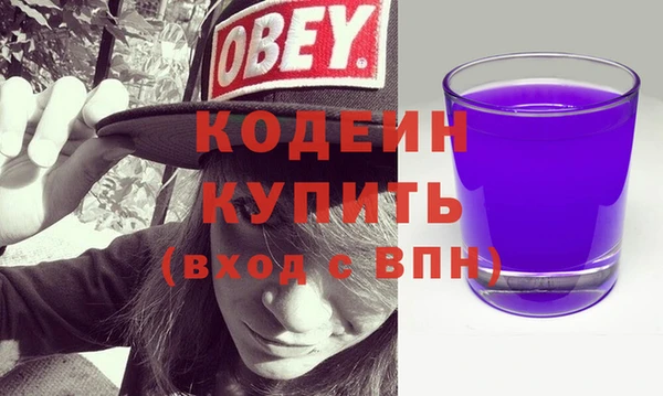 хмурый Михайловск
