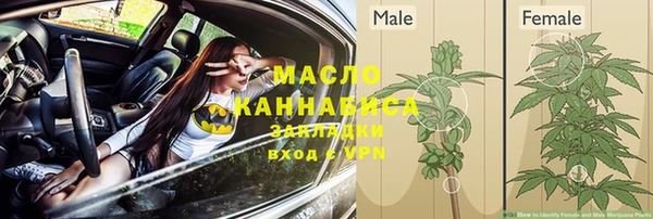хмурый Михайловск