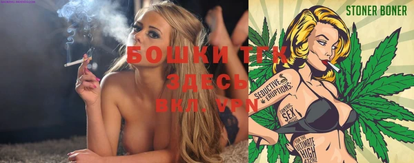 хмурый Михайловск
