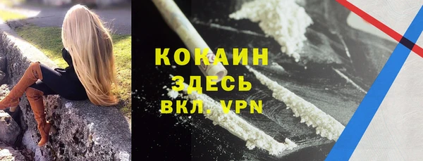 прущие грибы Михайлов