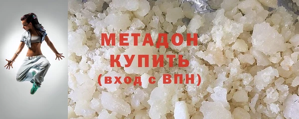 прущие грибы Михайлов
