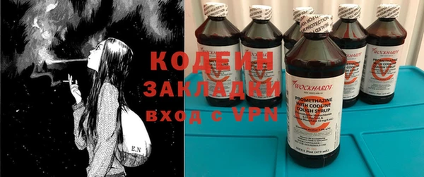 прущие грибы Михайлов