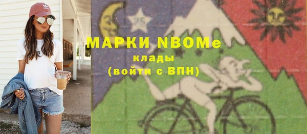прущие грибы Михайлов