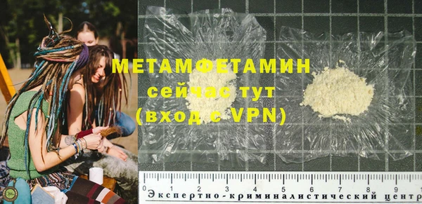 прущие грибы Михайлов