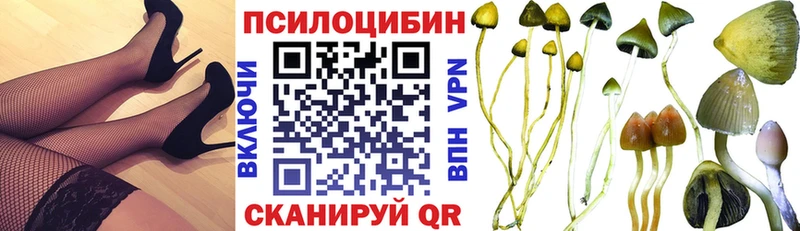 Галлюциногенные грибы Psilocybine cubensis  Октябрьск 