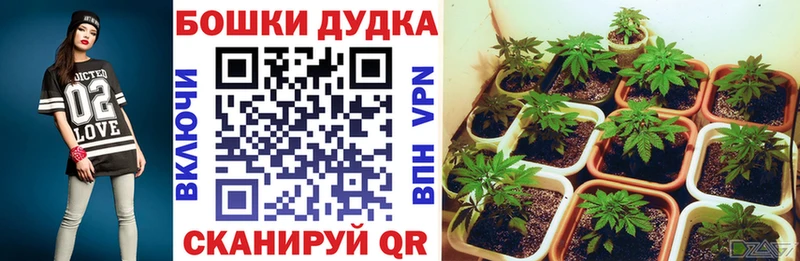 как найти   Октябрьск  Бошки марихуана ГИДРОПОН 
